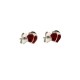 White gold 18 K ladybugs earrings